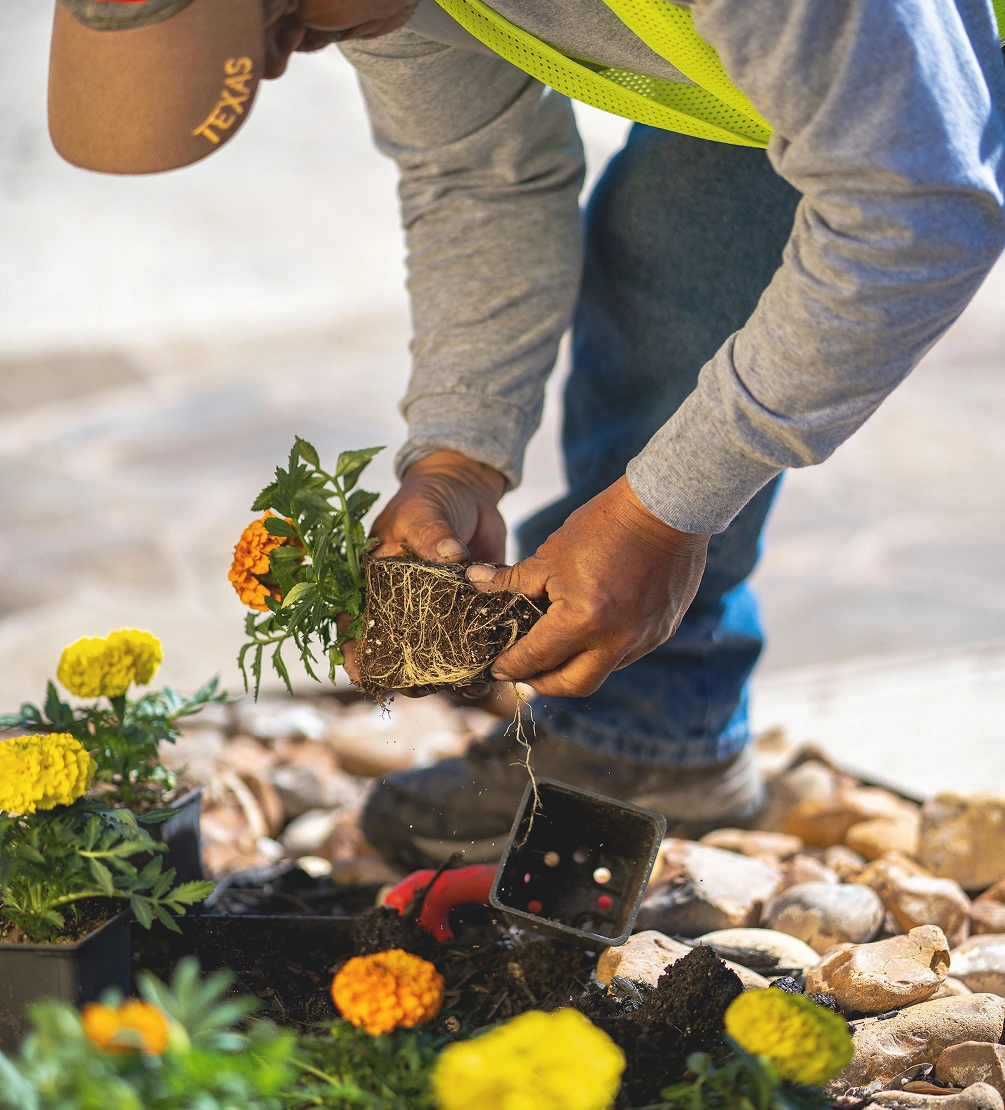 Victor Sanchez from Primero TX Landscaping