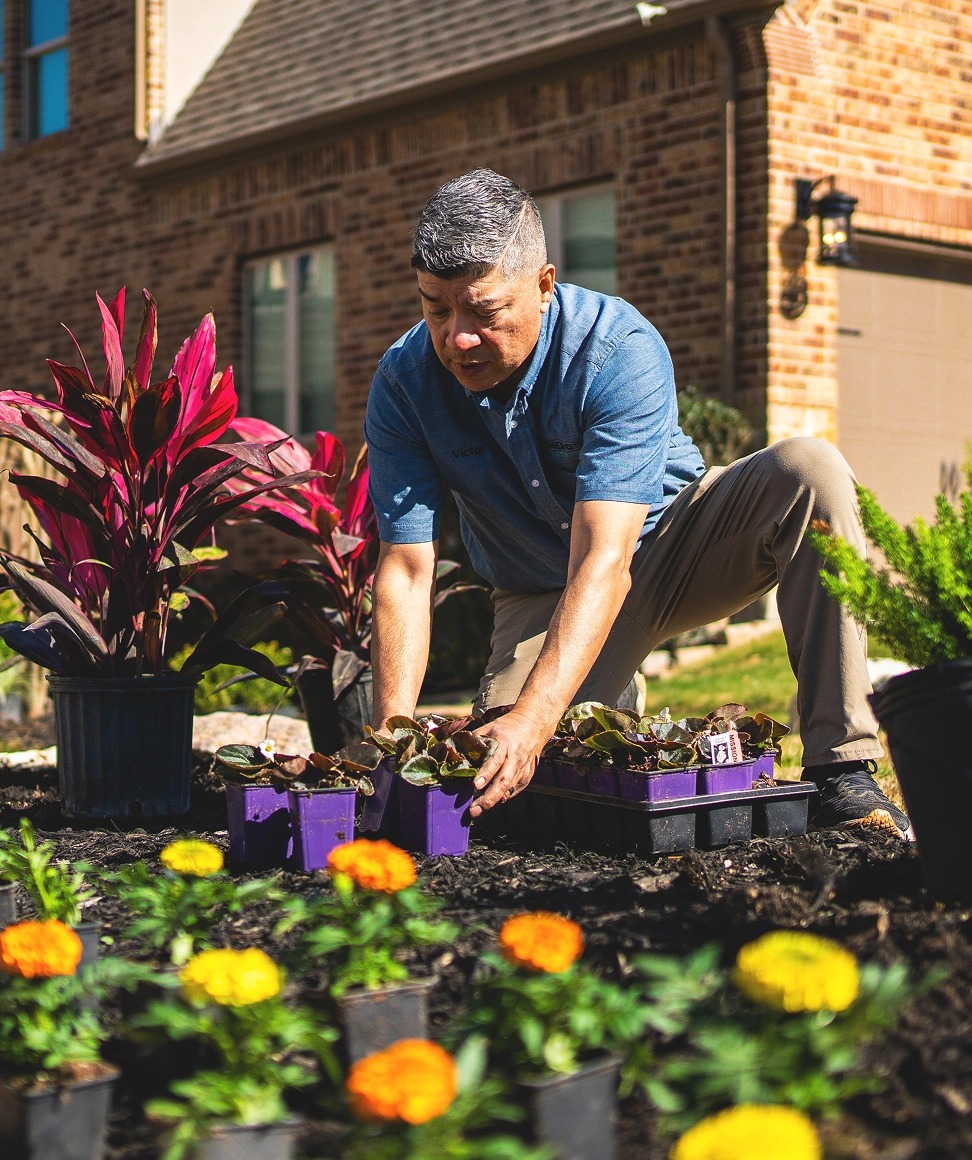 Customer Photo - Primero TX Landscaping
