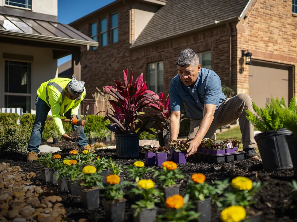 Victor Sanchez - Primero TX Landscaping