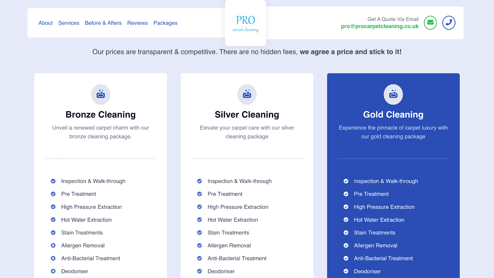 Carpet cleaning web design example from Pro Carpet Cleaning