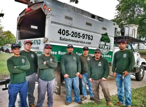 Salas Tree Service: Jobber Case Study