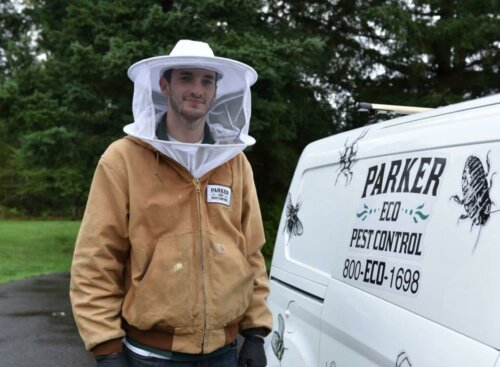 Pest control worker in beekeeping gear standing next to a van