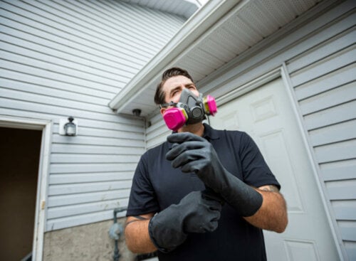 Pest control worker wearing a respirator
