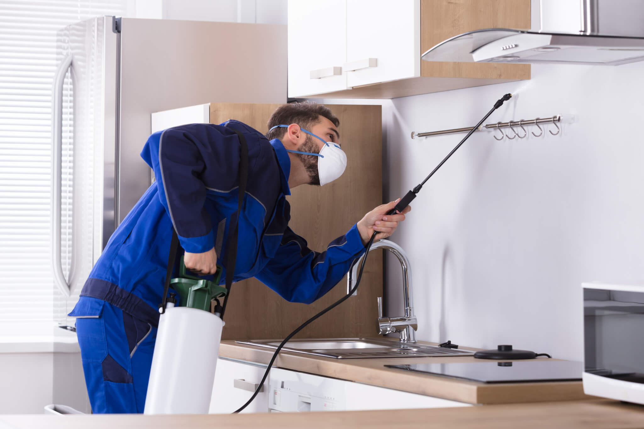 Rollins Shares Tumble as Pest Control Demand Softens