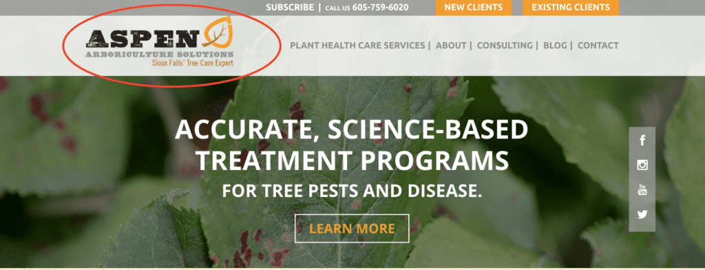 image of Aspen Arboricultural Solutions website with logo and branding