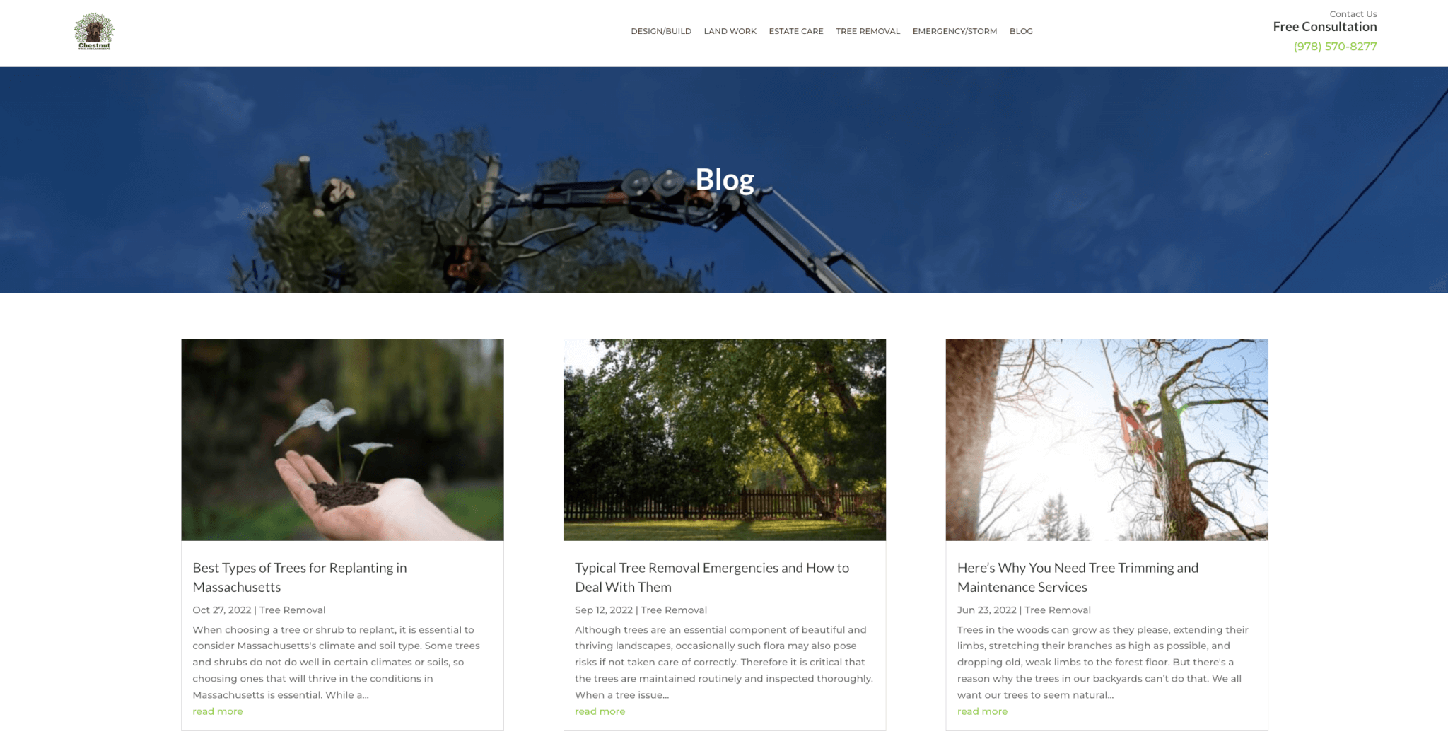 image of Chestnut Tree and Landscape blog page
