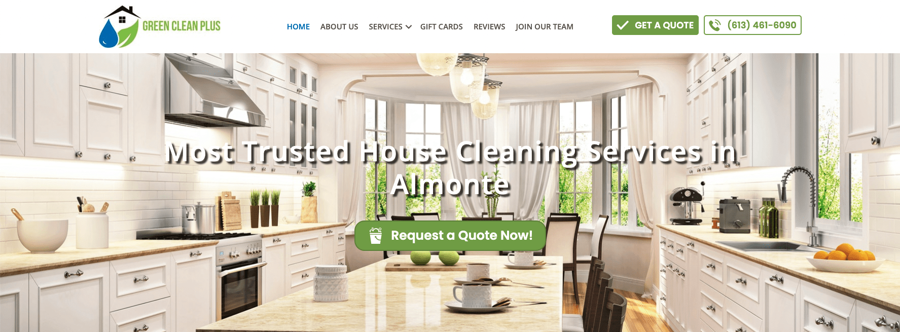 Cleaning websites - CTA screenshot