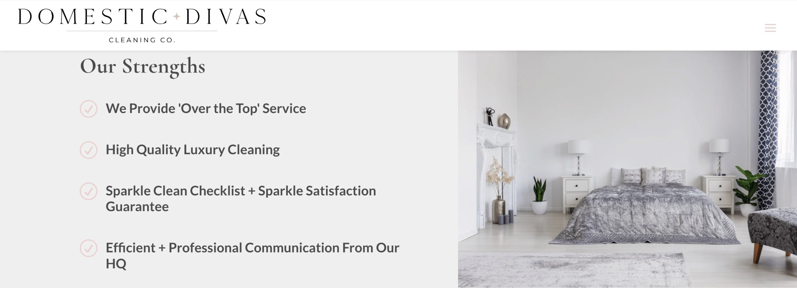 image of Domestic Diva's cleaning website