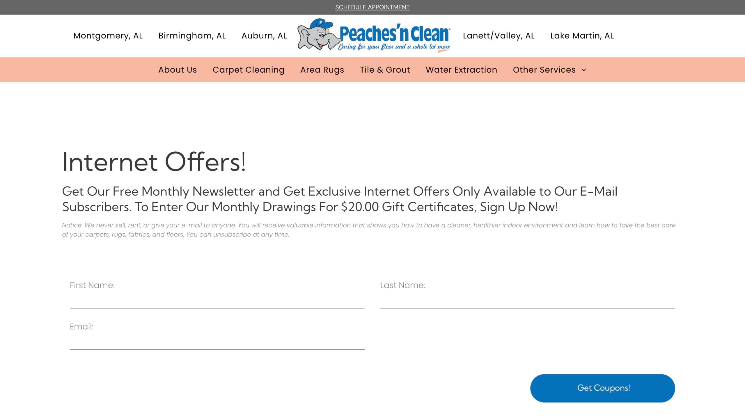 image of Peaches 'n Clean website