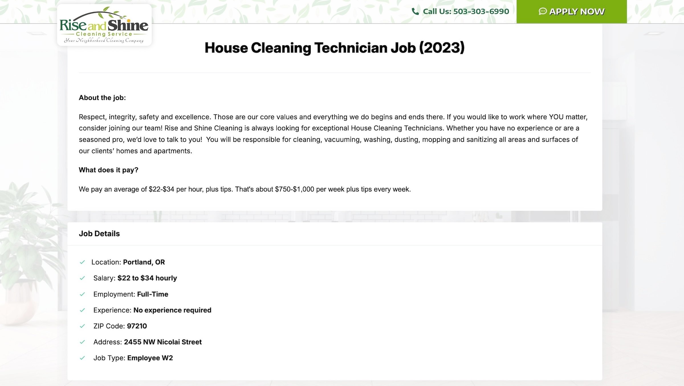 image of Rise and Shine Cleaning's website