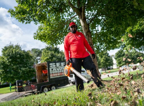 A lawn care contractor providing leaf blowing for a client's lawn in the fall