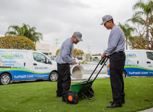 Two lawn care technicians working pouring seeds into a wheelbarrow