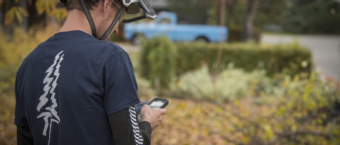 image of arborist looking at his cell phone