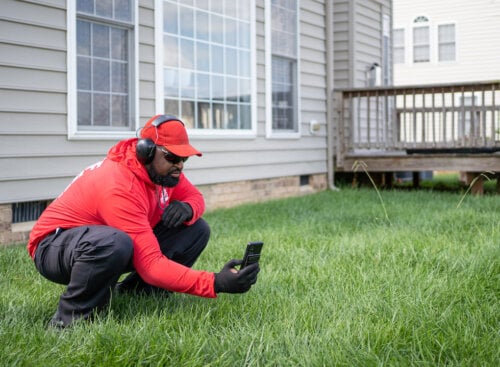 man kneeling down in grass to take photo with phone