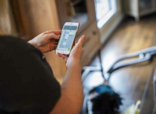 image of cleaning SP checking daily schedule on Jobber