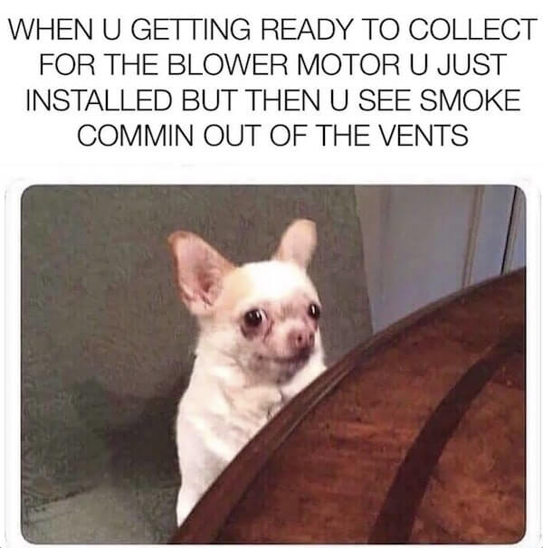 A scared puppy with the caption 