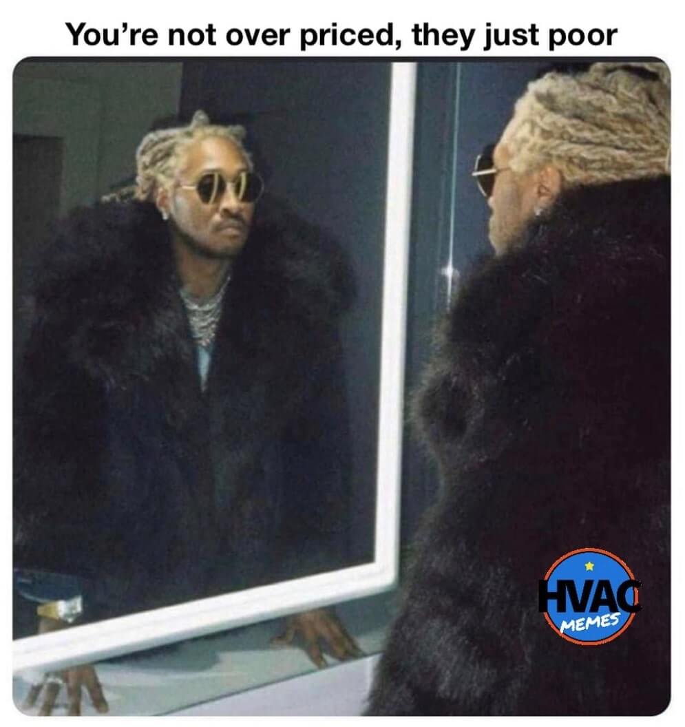 Future looking in the mirror with a serious face, wearing an expensive fur coat and jewelry. The caption says “You’re not overpriced, they just poor”