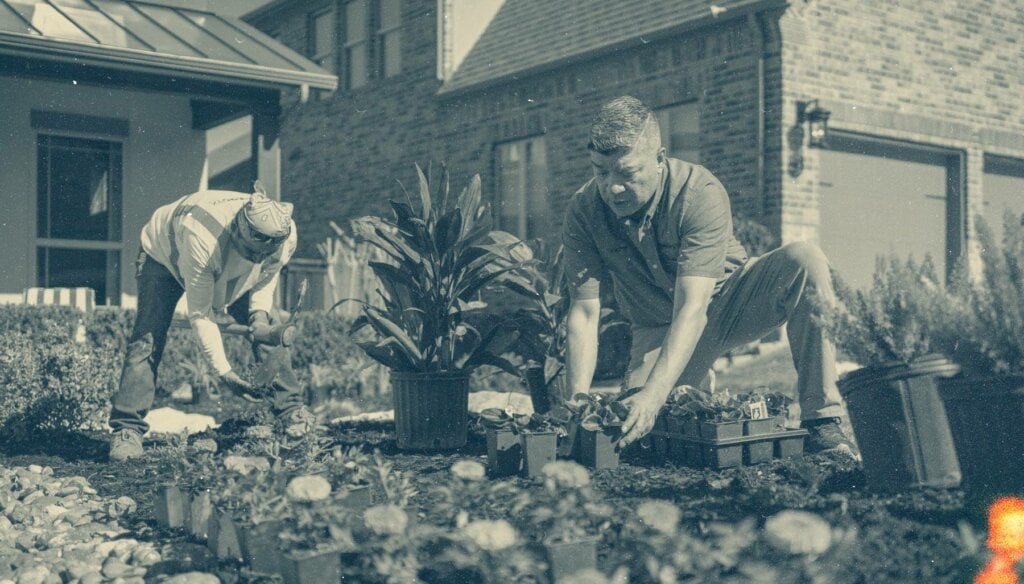 image of landscaping comparison page hero image