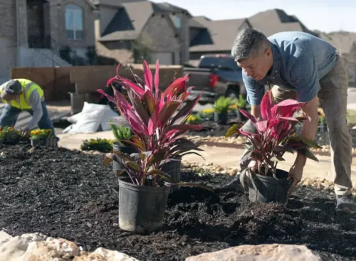 image of landscaper planting after using Jobber's landscaping software
