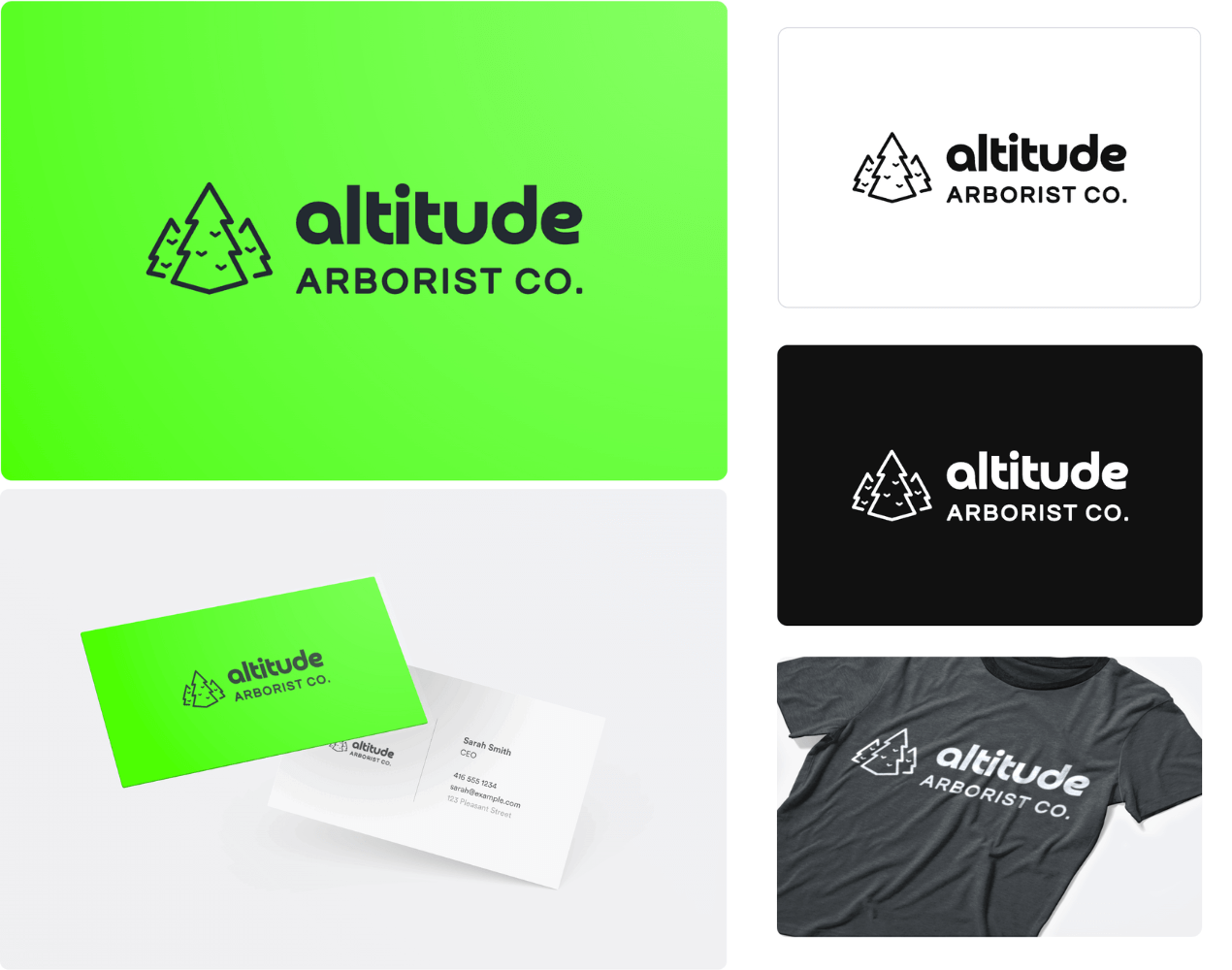 Tree company logo application with tree company name