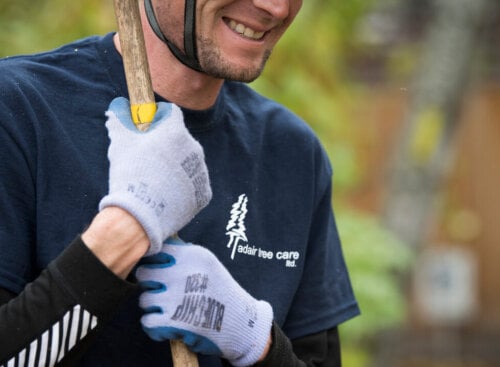 arborist holding equipment and wearing shirt with tree company name