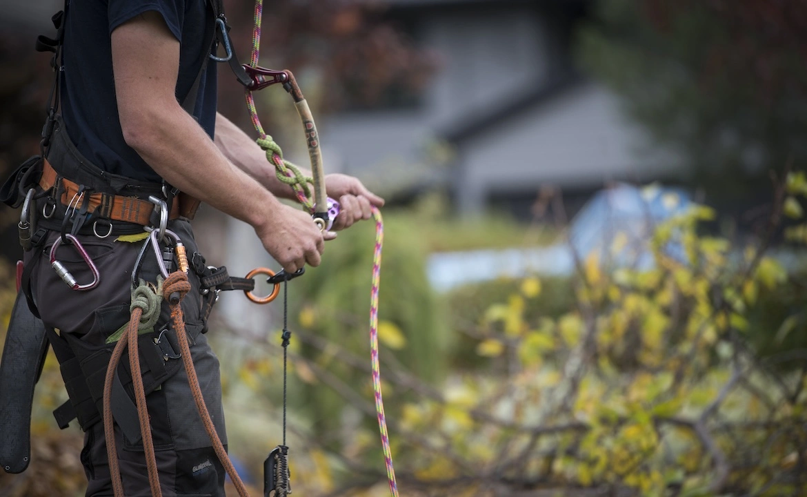 Equipment for tree trimming