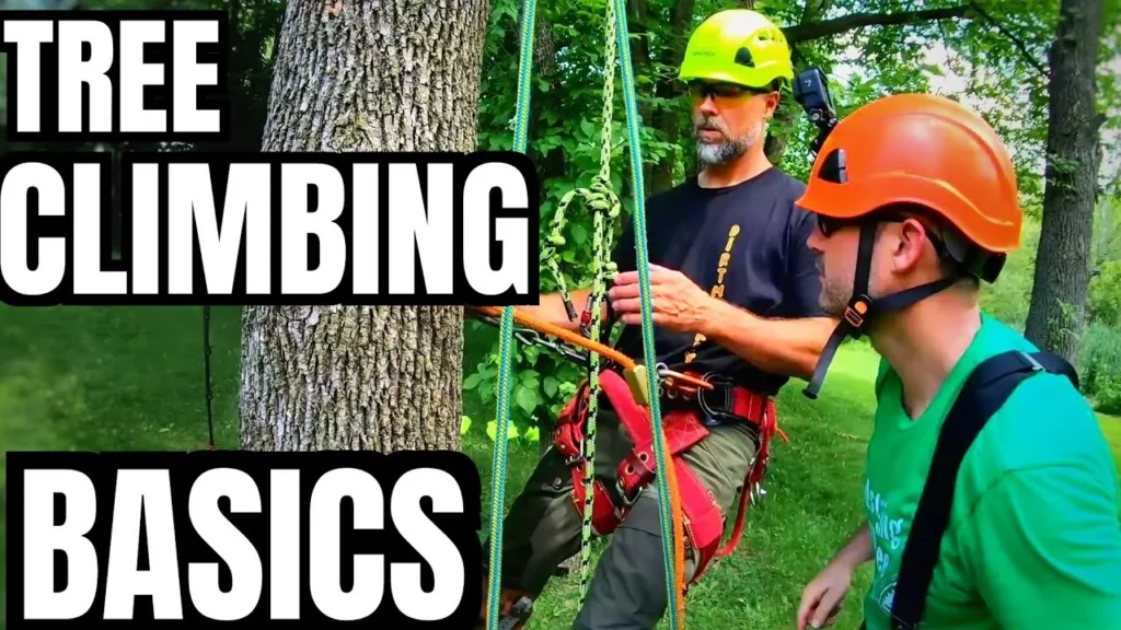Video thumbnail for a guide to climbing equipment