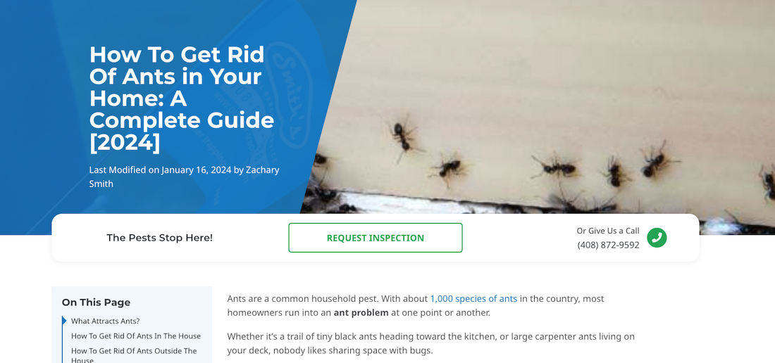 Article about how to get rid of ants on Smith’s Pest Management website