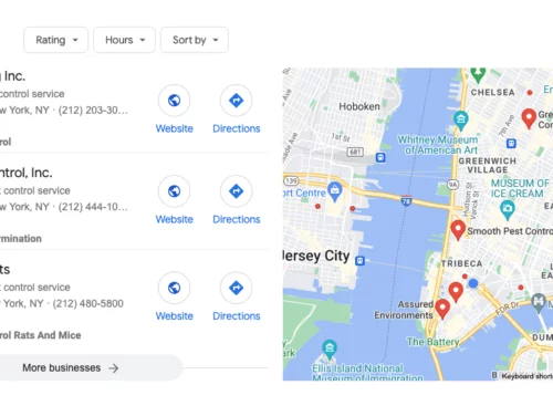 Google search showing the Google Business Profiles of rodent control businesses in New York