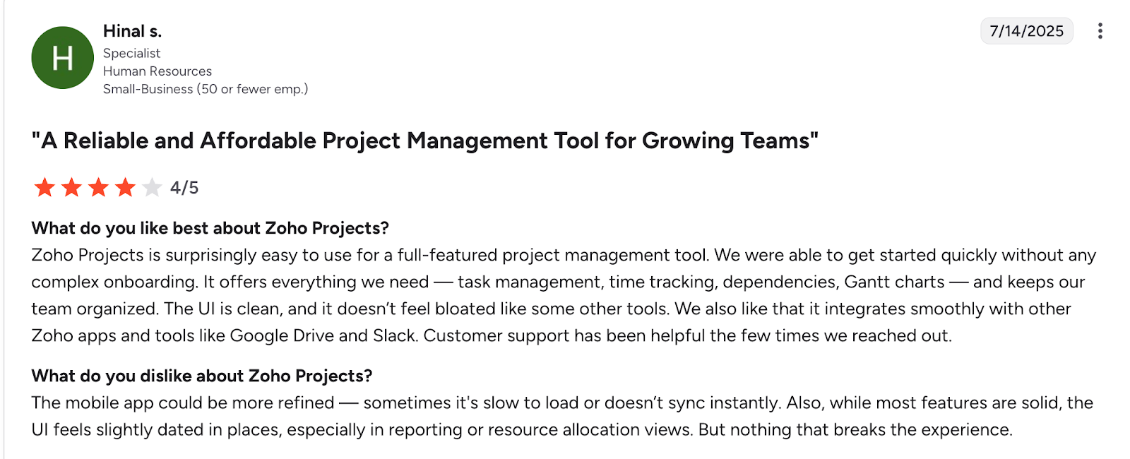 screenshot of Zoho Projects review
