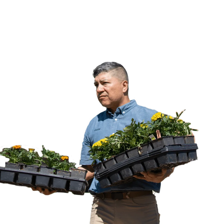 a man carrying plants
