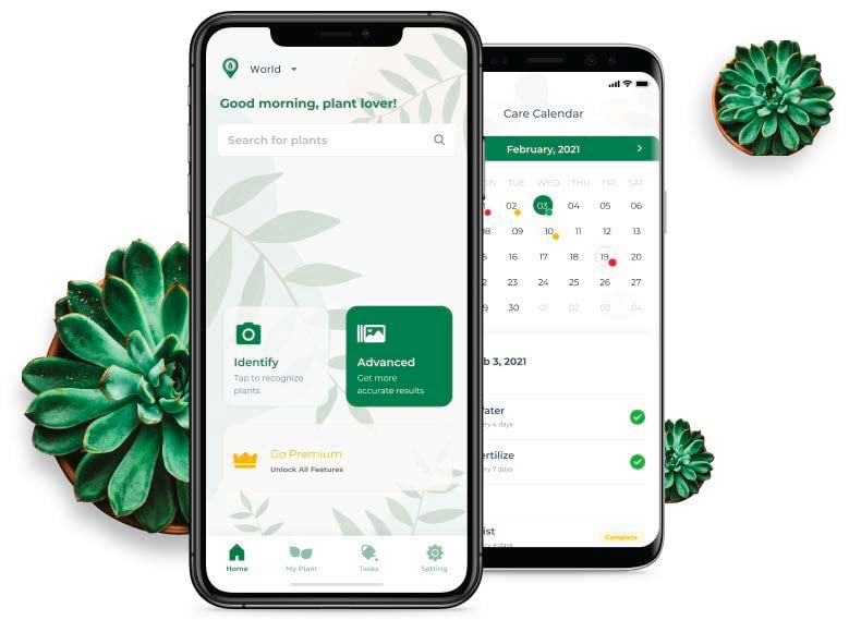LeafSnap mobile app homepage and calendar interface