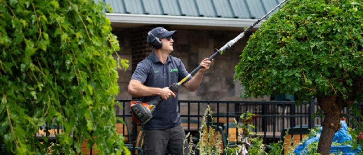 Landscaper pruning trees.