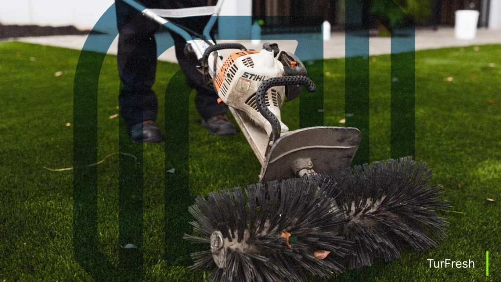 Pet waste removal service