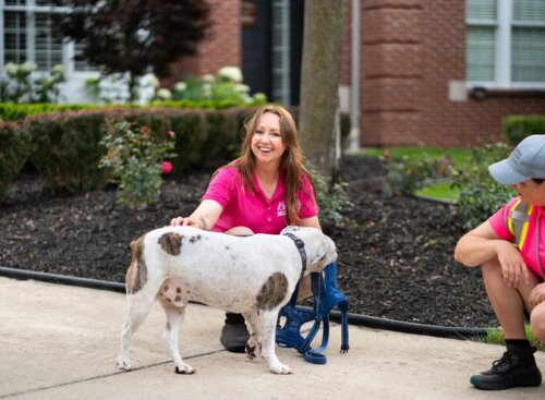 image of service provider petting dog