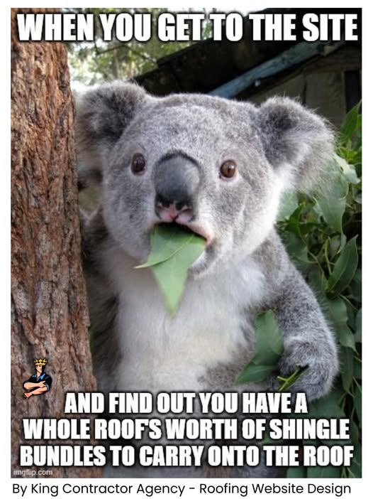 A wide-eyed koala with a leaf in its mouth with roofing meme caption