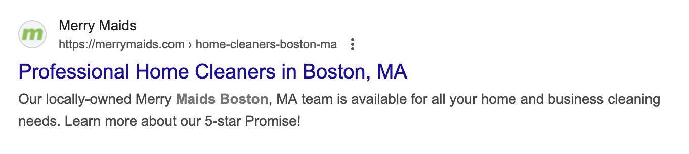 image of meta data in a Google search result