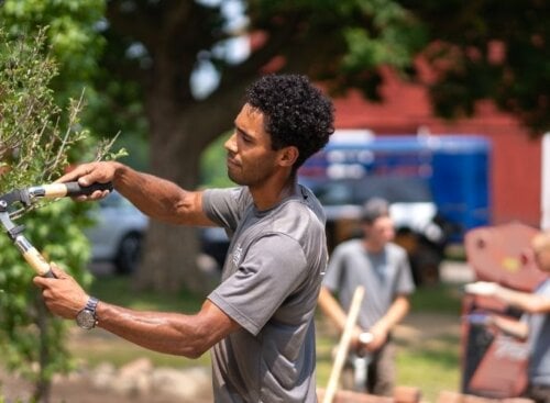 A young landscaper trims a tree in the foreground while two other workers lay bricks around a garden in the background.