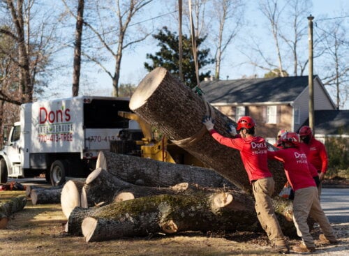 image of Don's Tree Service on the job
