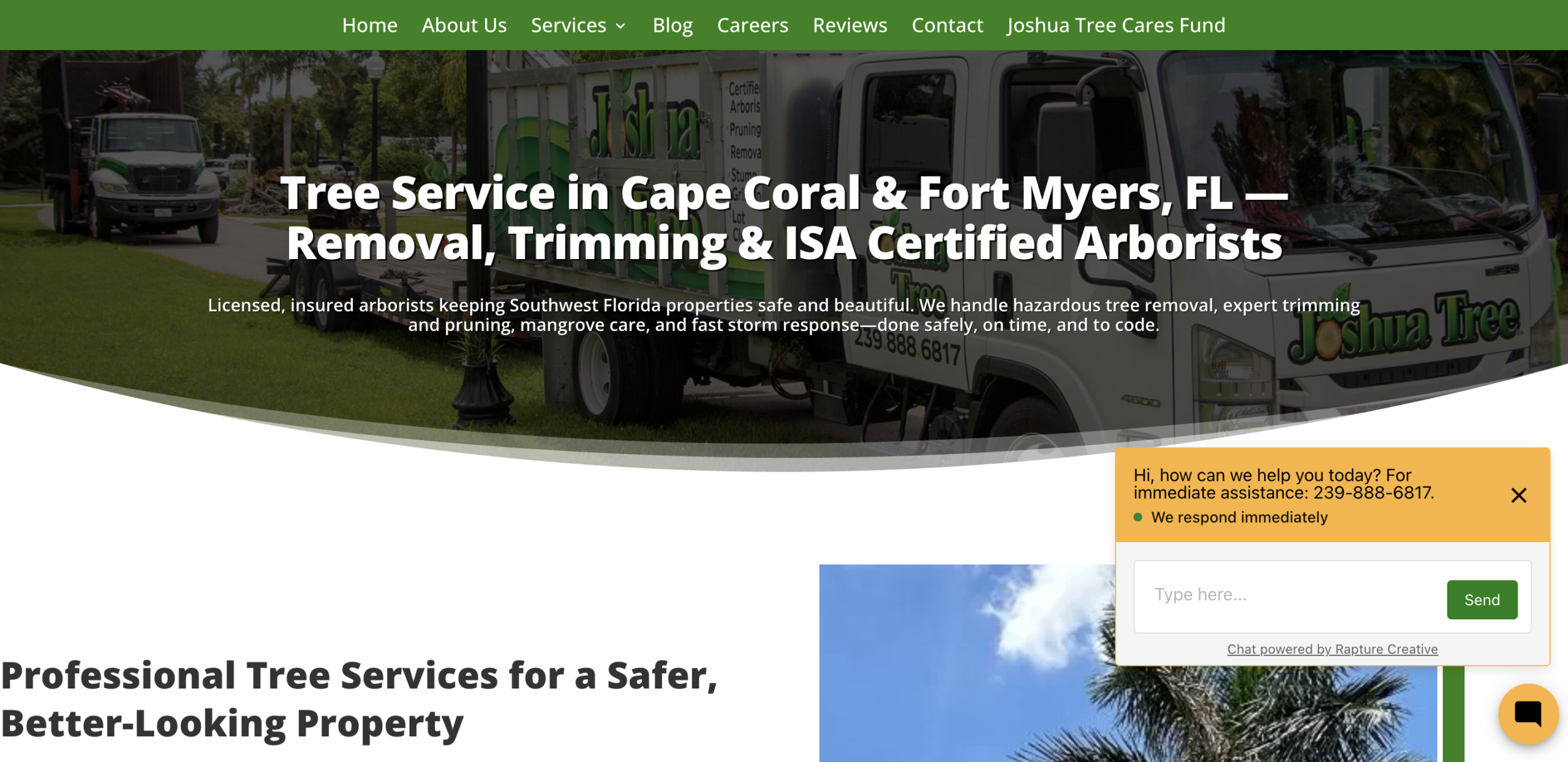 Image of the Contact page on the Joshua Tree website