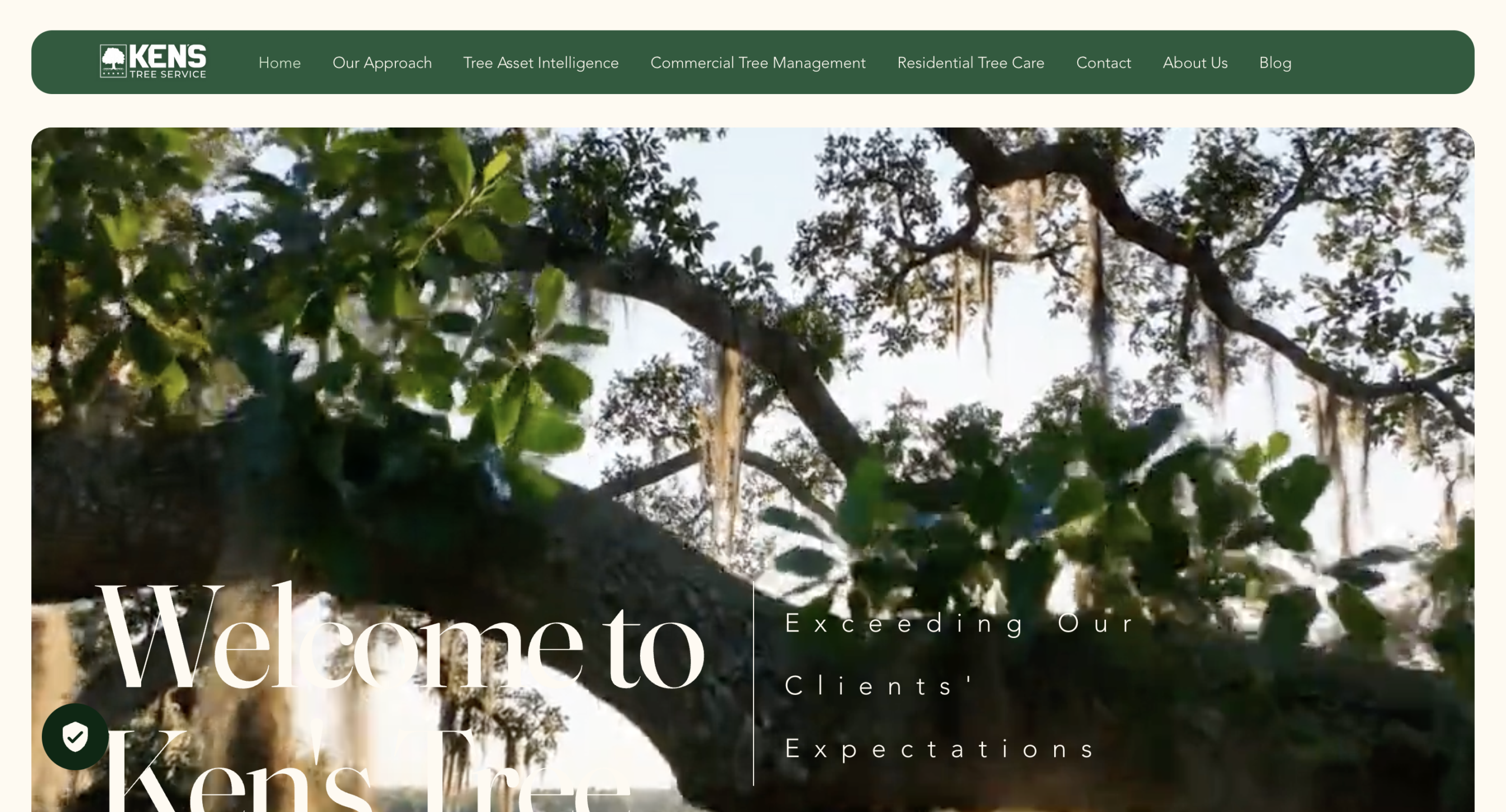 Image of Ken’s Tree website home page