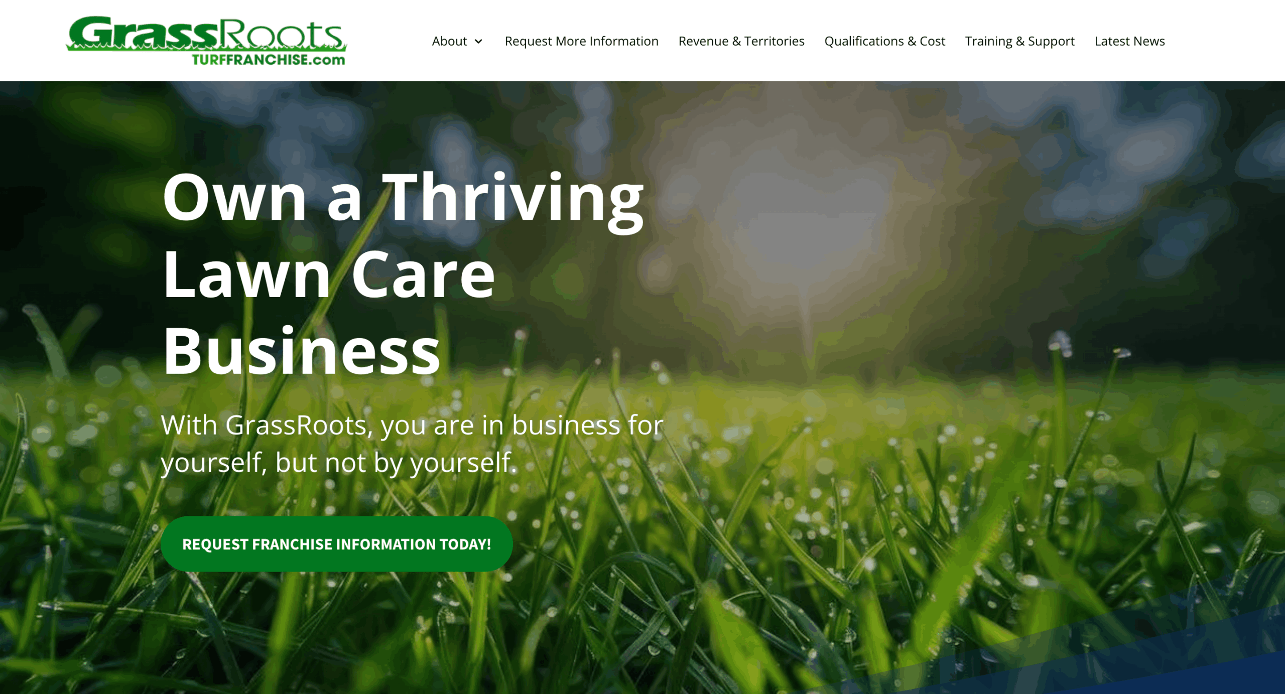 image of Grass Roots lawn franchise website