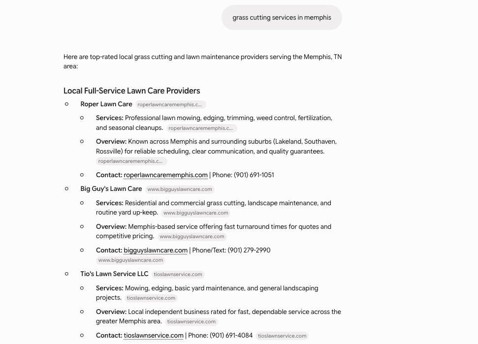 gemini interface image showing local search