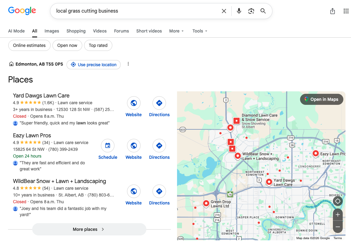 Google AI overview showing results for local search
